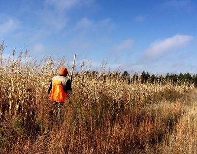 pheasant hunting lodges south dakota