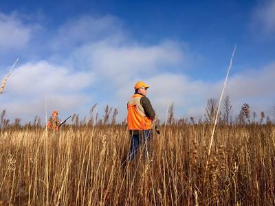 book a pheasant hunt in south dakota
