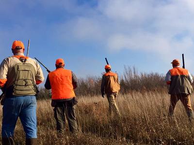 best pheasant hunting in south dakota