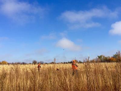 pheasant hunting burke south dakota