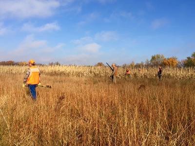 best pheasant hunting in the country