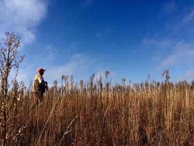 pheasant hunting resort south dakota