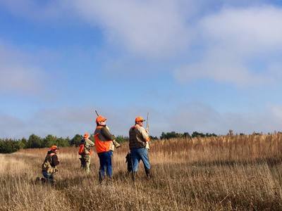 pheasant hunting guides in south dakota