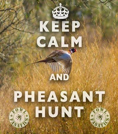 south dakota pheasant hunting lodge