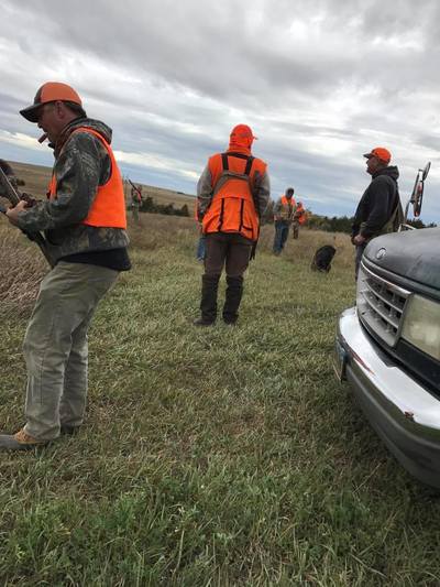 south dakota pheasant hunting
