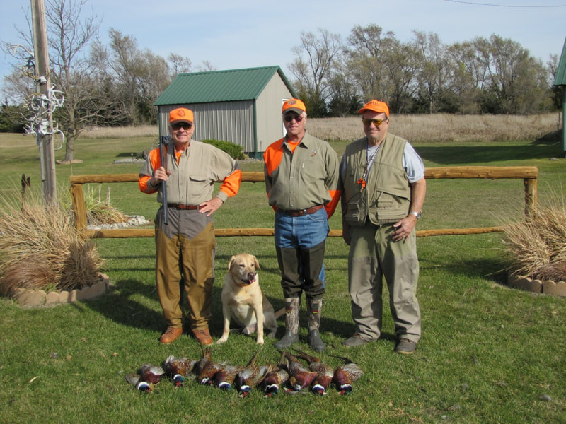 pheasant hunting guide service in south dakota