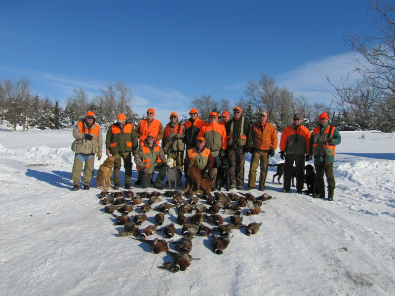 successful pheasant hunt
