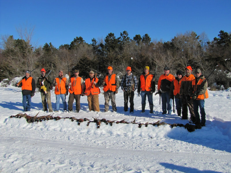 pheasant hunting in south dakota