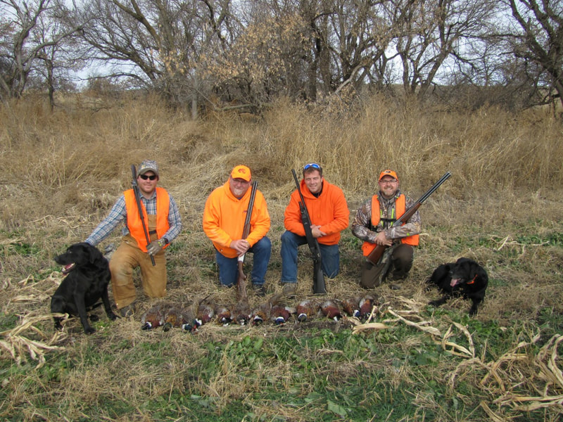 rooster tales pheasant hunting guide service
