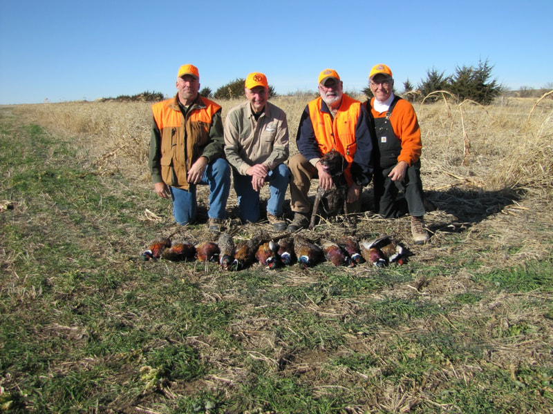 the best south dakota pheasant hunting guides