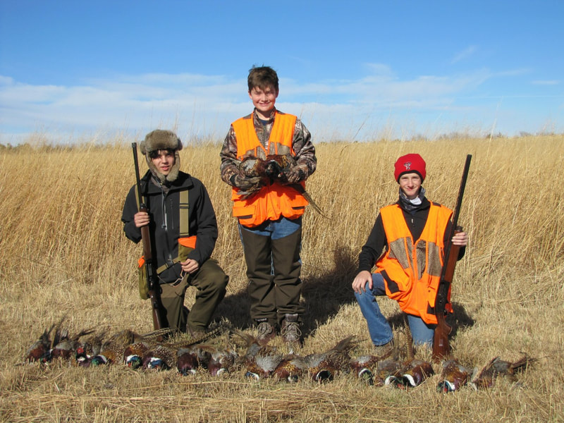 pheasant hunting lodge