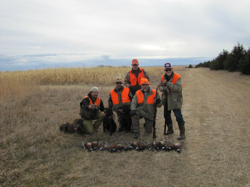 midwest pheasant hunting lodge
