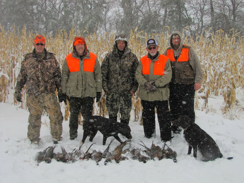 pheasant hunting guide service