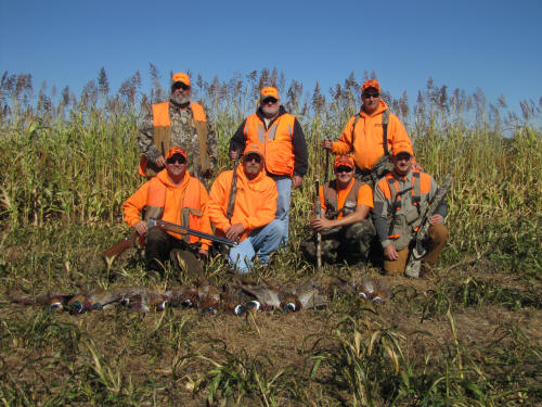 best pheasant hunting in south dakota